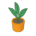 Vaso de Planta