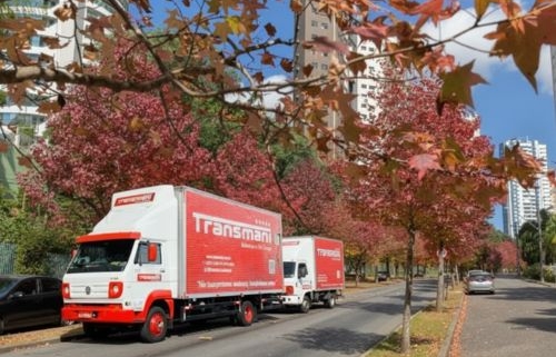 Mudança residencial ou comercial