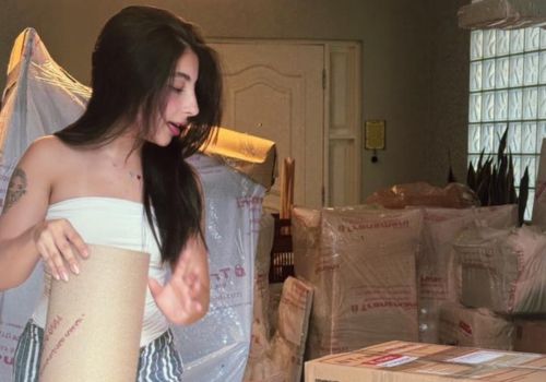 mudanças residenciais transmani